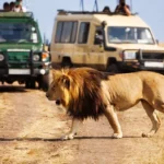 Kenya’s Tourism Economy Continues to Strengthen, New WTTC Data Shows